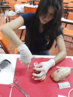 /album/fotos/a20150829-160856-jpg/