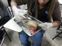 /album/fotos/a20150905-113847-jpg/