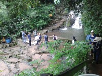 /album/tecnicas-verticais/img-20151102-wa0040-jpg/